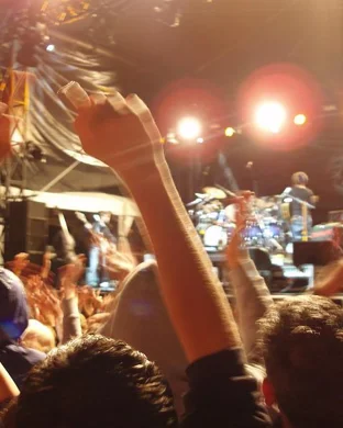 The Wallflowers